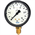 Hydraulic pressure gauge, model 113.13